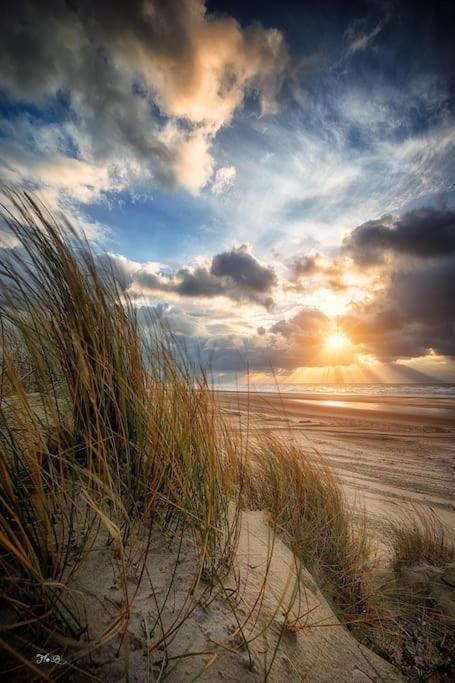 Vue Mer Berck Exterior foto